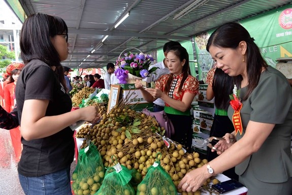 Longan promotion and safe farming week opens in Son La